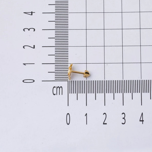14 Ayar Altın Yengeç Tragus Küpe - 5