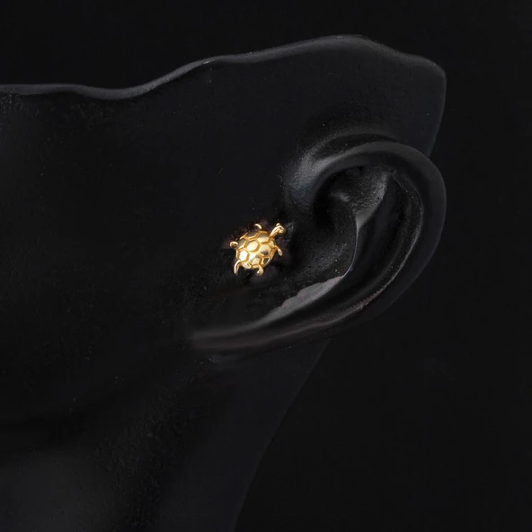 14 Ayar Altın Kaplumbağa Tragus Küpe - 2
