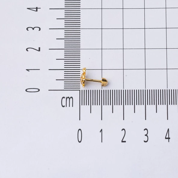 14 Ayar Altın Kaplumbağa Tragus Küpe - 5