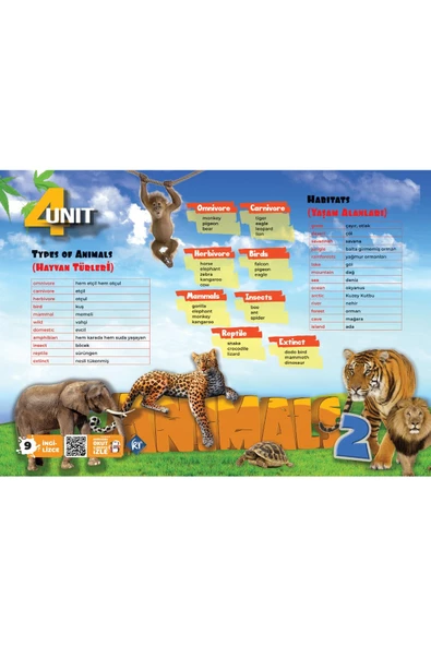 7. Sınıf İngilizce Poster Notlar Kr Akademi Yayınları - 3