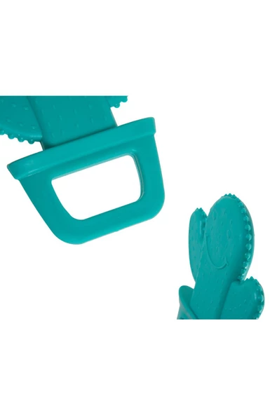 Babyjem Diş Kaşıyıcı Kaktüs Dişlik - 6