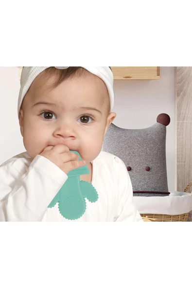 Babyjem Diş Kaşıyıcı Kaktüs Dişlik - 2