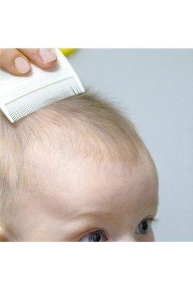 Babyjem Konak Tarağı - 2