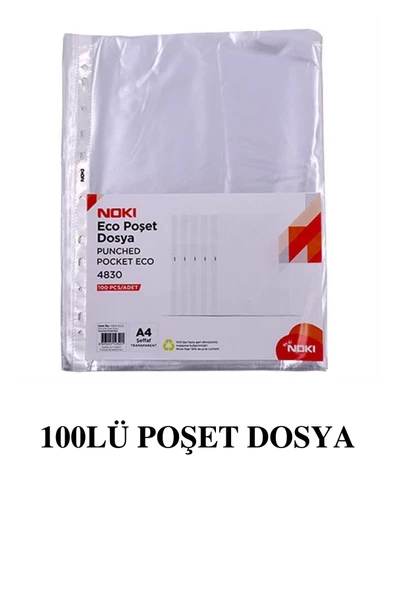 10 Renk Telli Dosya ve 100lü Poşet Dosya - 2