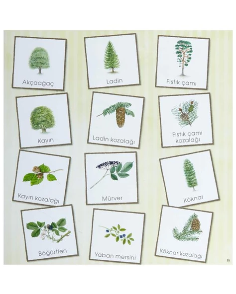 Dünyayı Öğreniyorum Ormanda Resimli Sözlüğüm İş Bankası - Resim 3