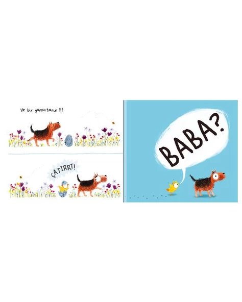 Vak, Vak Baba? - Resim 2