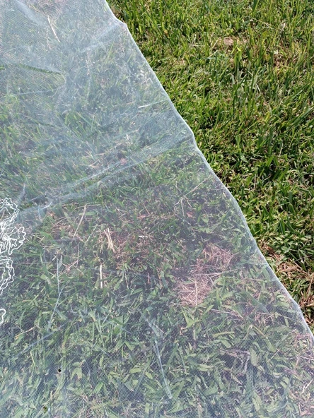 Gül Desenli İşlemeli Tül Perde Beyaz 2,85x12m - 7