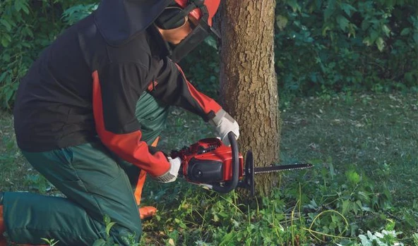 Einhell GC-PC 2040 I Benzinli Ağaç Kesme - 3