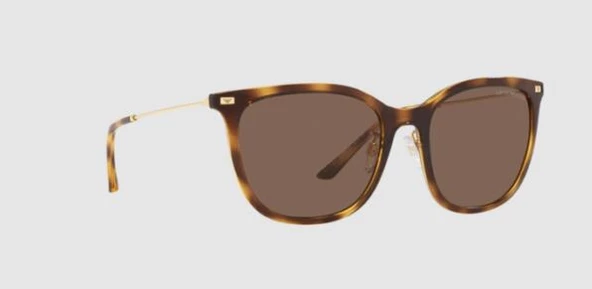 Emporio Armani 0EA4181 500273 S54 T145 Kadın güneş Gözlüğü - Resim 3