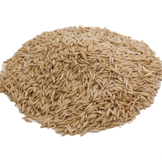 Yulaf Tohumu 1KG PAKETLERDE - 2