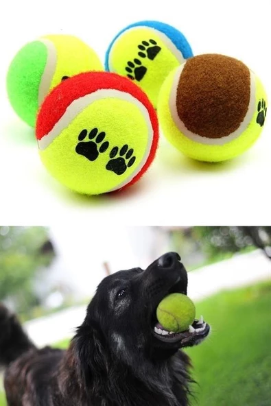 BUFFER®  3lü Renkli Desenli Tenis Topu Kedi Köpek Oyuncağı - 9