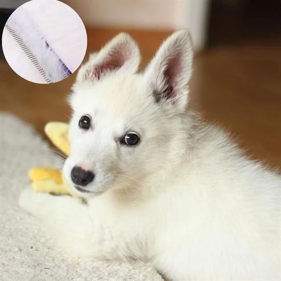 BUFFER® Parlak Metal Köpek Tarağı Renkli Pet Köpek Pire Tımar Tarağı Köpek Tüyü Tarama - 5