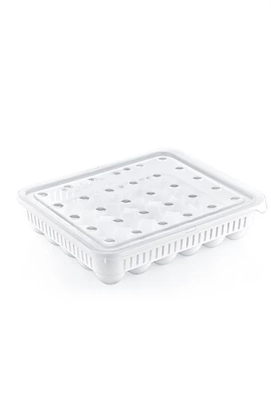 BUFFER® 30lu Yumurta Saklama Kabı - 6
