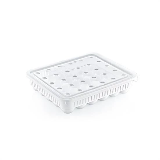 BUFFER® 30lu Yumurta Saklama Kabı - 7