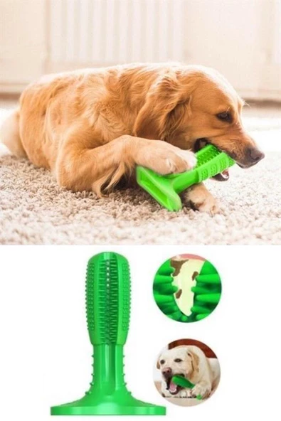 BUFFER® Köpek Diş Temizleyici ve Kaşıyıcı Sağlıklı Küçük Boy Oyuncak - 9