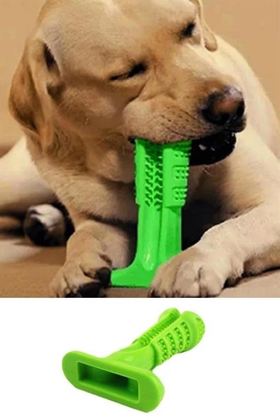 BUFFER® Köpek Diş Temizleyici ve Kaşıyıcı Sağlıklı Küçük Boy Oyuncak - 10
