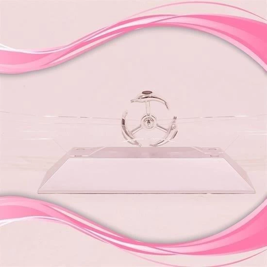 BUFFER® Dekoratif Masa Üstü Obje Manyetik Kinetik Orbital Dönen Yunuslar - 2