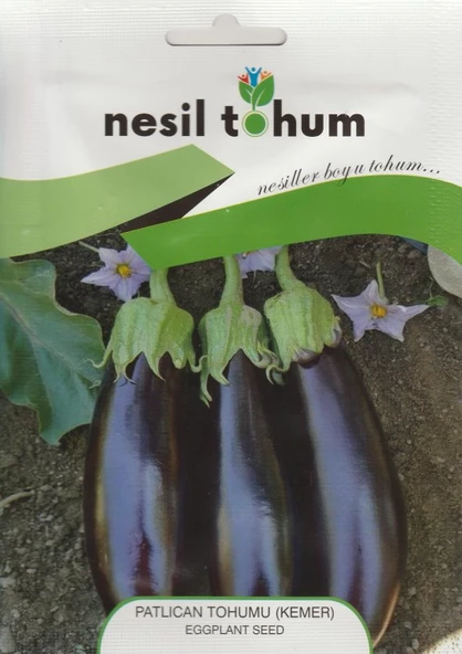 NESİL PATLICAN  TOHUMU ( KEMER )-5 GR