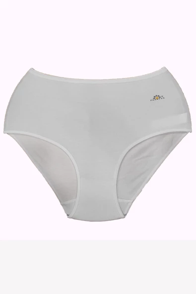 Papatya Lingerie 1851B Kadın Modal Yüksek Bel Külot - 2