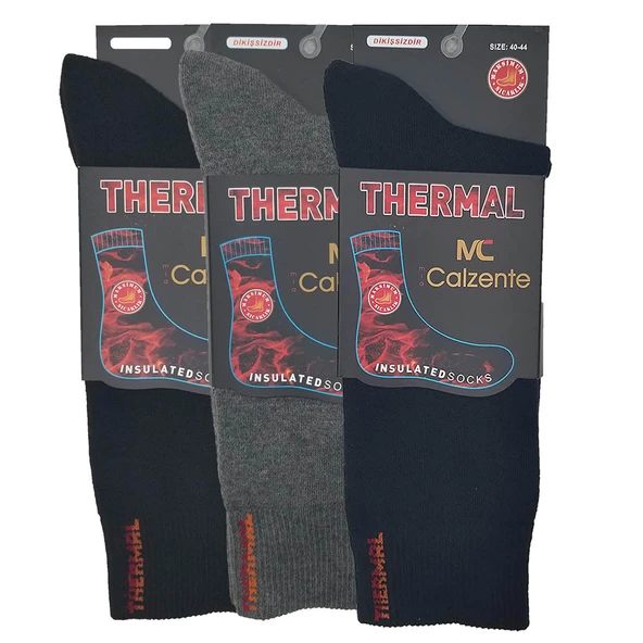 Mia Calzente 3 Adet Thermal (Termal) Erkek Çorap - 4
