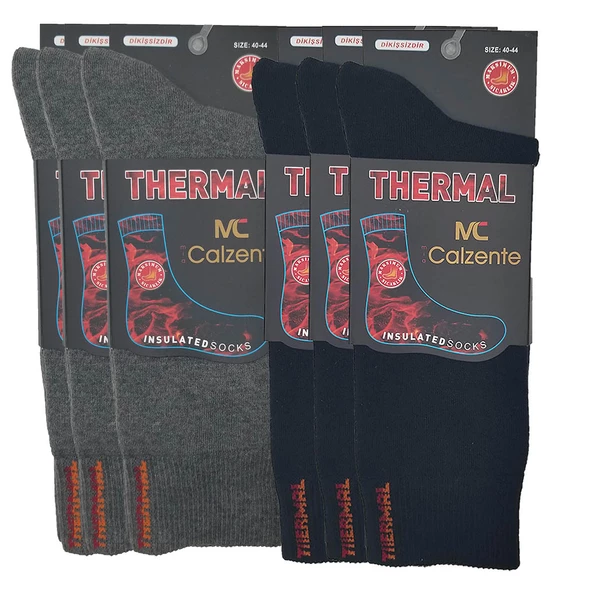 Mia Calzente 6 Adet Thermal (Termal) Erkek Çorap - 4