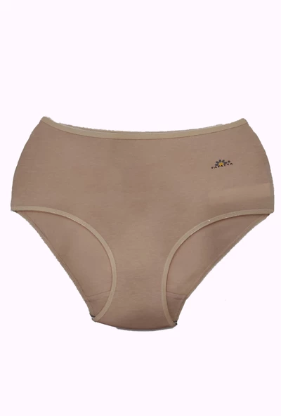 Papatya Lingerie 1851 Kadın Modal Külot - 3