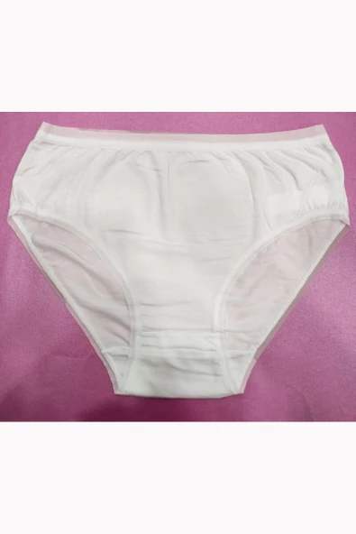 Papatya Lingerie 2864 Kadın Micro Modal Yüksek Bel Külot - 3
