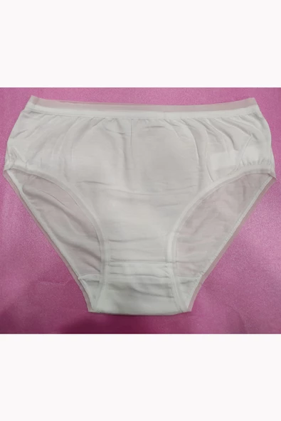 Papatya Lingerie 2864 Kadın Micro Modal Yüksek Bel Külot - 4