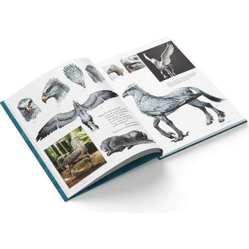 Film Dehlizi Kitap 1: Orman, Göl ve Gök Sakinleri (Ciltli) - 5