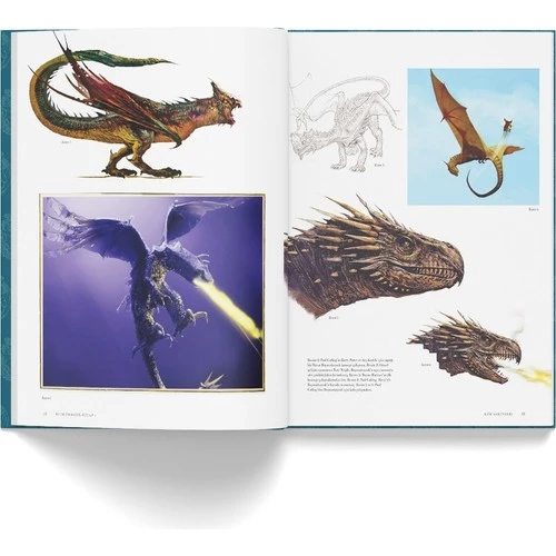 Film Dehlizi Kitap 1: Orman, Göl ve Gök Sakinleri - 2