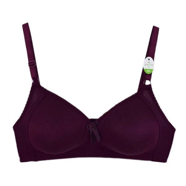 Kadın C Cup Silikonlu Telli Sütyen ER5016-C BGL-ST02585 - Resim 2