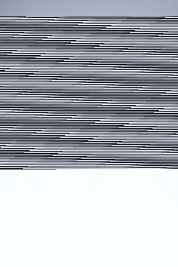 KISA KOL POLO YAKA BEYAZ LAKOS OKUL TİŞÖRTÜ - 4