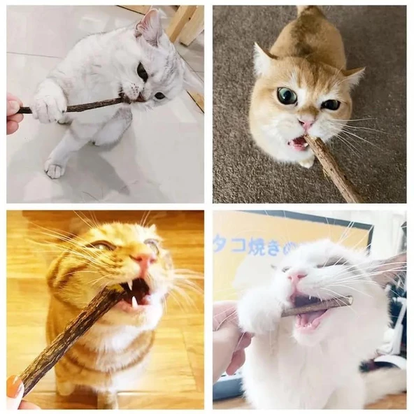 TİNEKE Doğal matatabi kedi çiğneme çubuğu ve oyuncağı 10 adet - 3