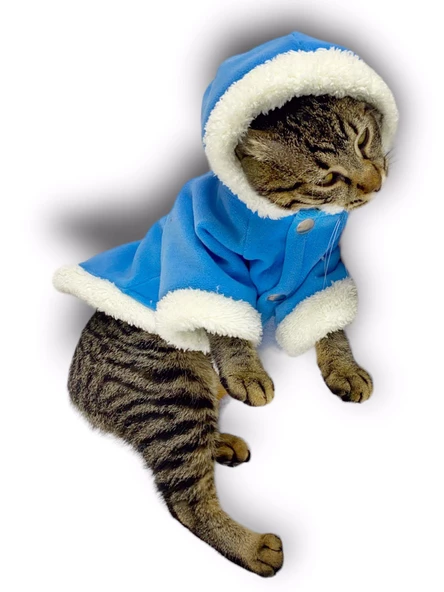 Blue Furry Kapşonlu Sweatshirt Ceket Kedi Süeteri Kıyafeti - 2