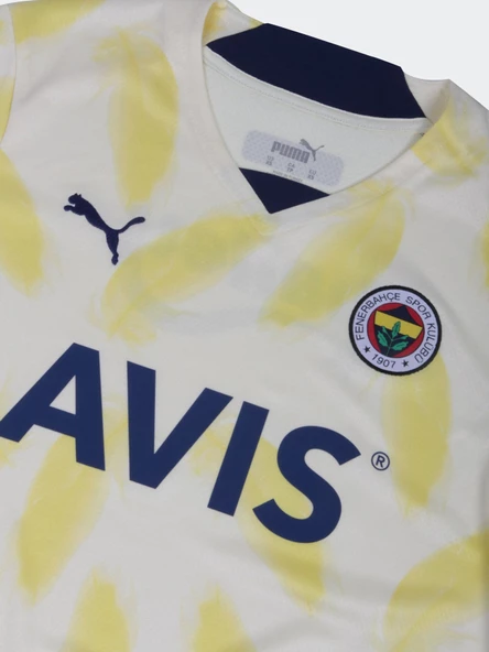 Fenerbahçe Orijinal Forma Hediyelik Ahşap Kutulu - 5