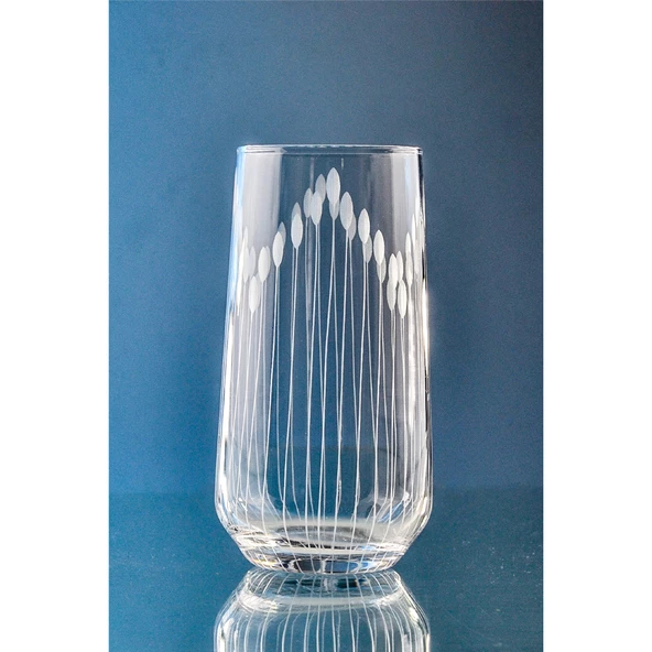 Decocia Kazaan 6 Adet Büyük Boy Su ve Meşrubat Bardağı 470cc Vega Desenli - Resim 2