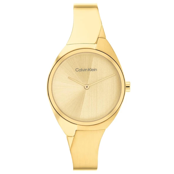 Calvin Klein CK25200235 Kadın Kol Saati ürün görseli