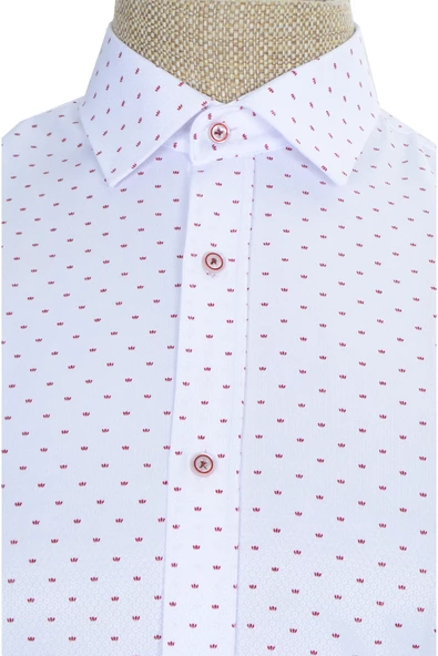 Cengiz İnler Standart Yaka Sinek Desen Slim Fit Erkek Pamuk Gömlek - 3