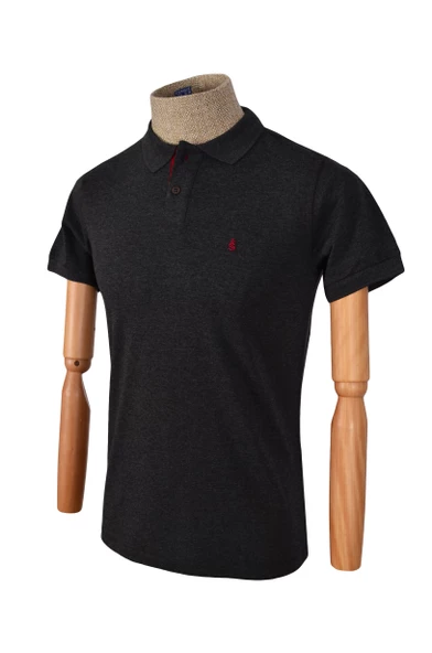 Cengiz İnler Polo Yaka Düz Slim Fit Erkek T-shirt - 11