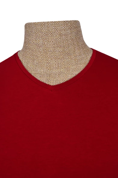 Cengiz İnler V Yaka Düz Slim Erkek T-shirt - Resim 6
