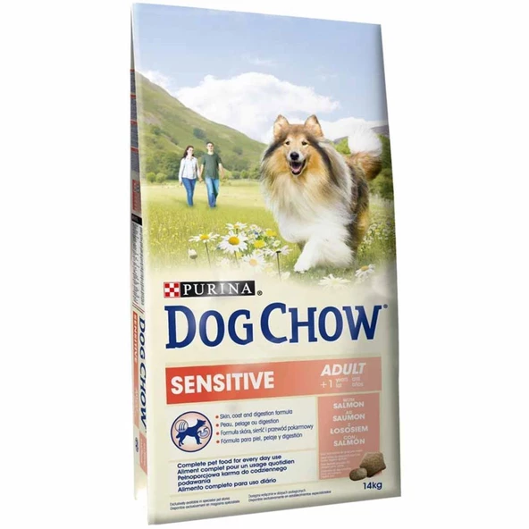 DOG CHOW Somonlu Yetişkin Kuru Köpek Maması 14 Kg