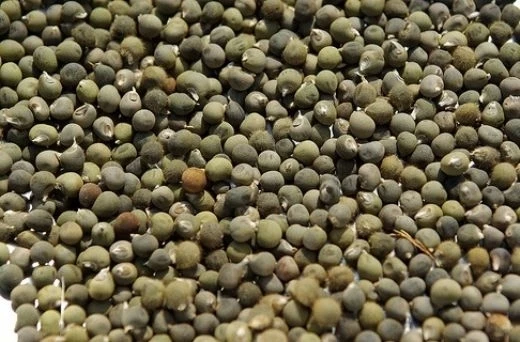 Dökme Baharat Bamya Tohumu 100 gr ürün görseli