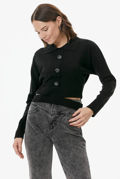 Parça Detaylı Polo Yaka Düğmeli Triko Crop - Siyah ürün görseli 1