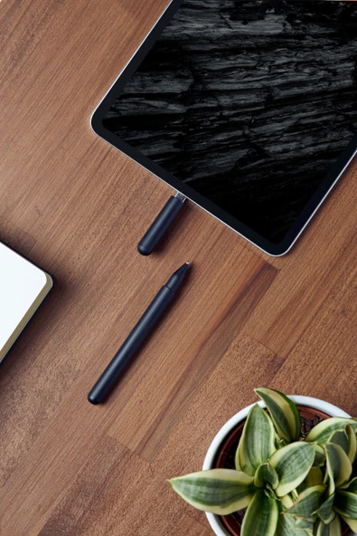 Lexon C Pen Flash Bellekli Kalem Siyah - Resim 5