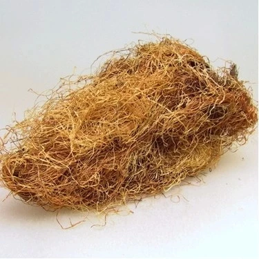 Dökme Bitkiler Mısır Püskülü -100 Gr ürün görseli