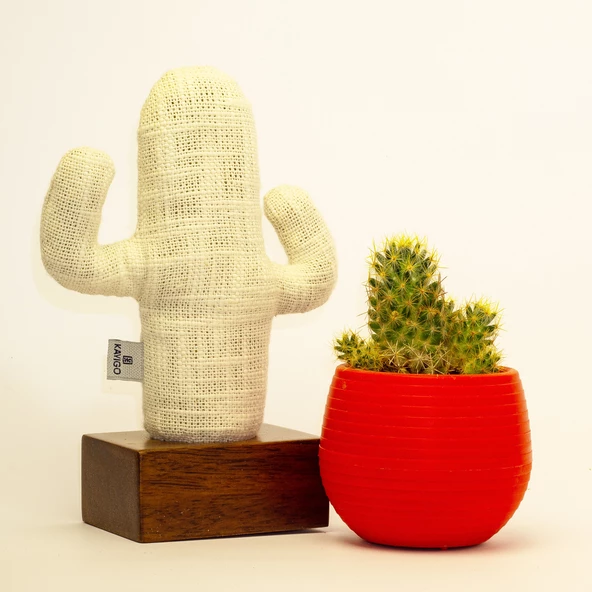 Kayıgo Cactus Lavanta Dolgulu Notluk - 4