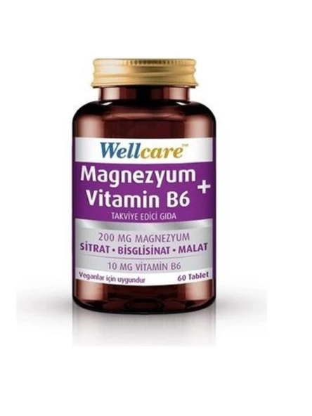 Wellcare Magnezyum + Vitamin B6 60 Tablet