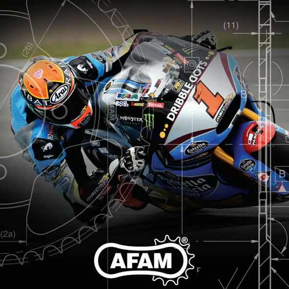 AFAM A520-112XMR3 2011-2018 Gas Gas EC 250 Uyumlu Zincir XMR3 Xring Çelik Renk - Resim 4