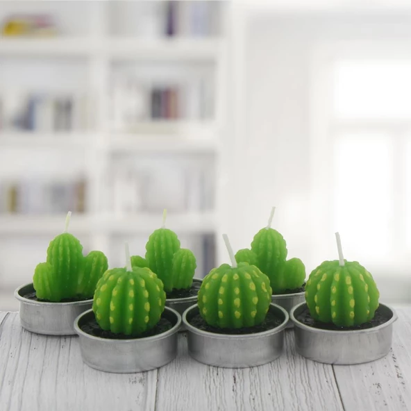 6 Adet Kaktüs Tealight Mum