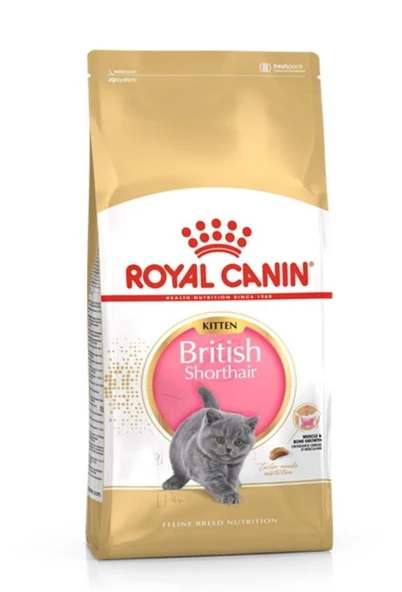 Royal Canin Kitten British Shorthair Yavru Kedi Maması 2 Kg.